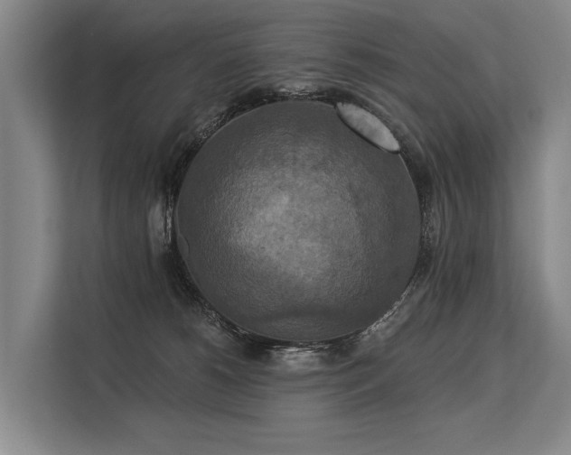 X0000113550180200909181207