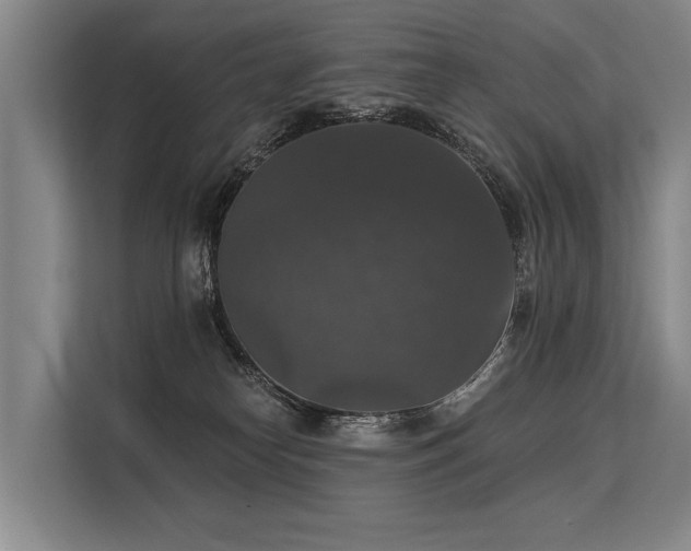 X0000113550182200909181207