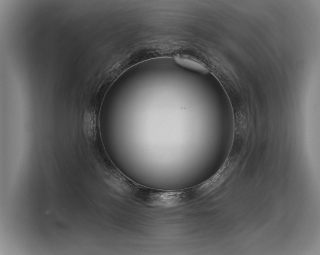 X0000113550184200909181207