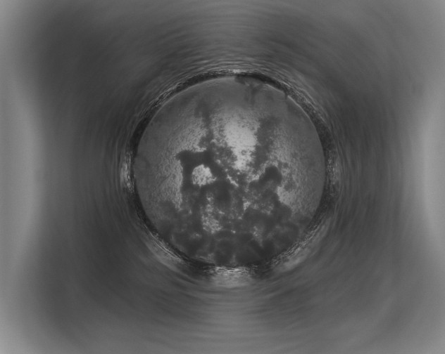 X0000113550185200909181207