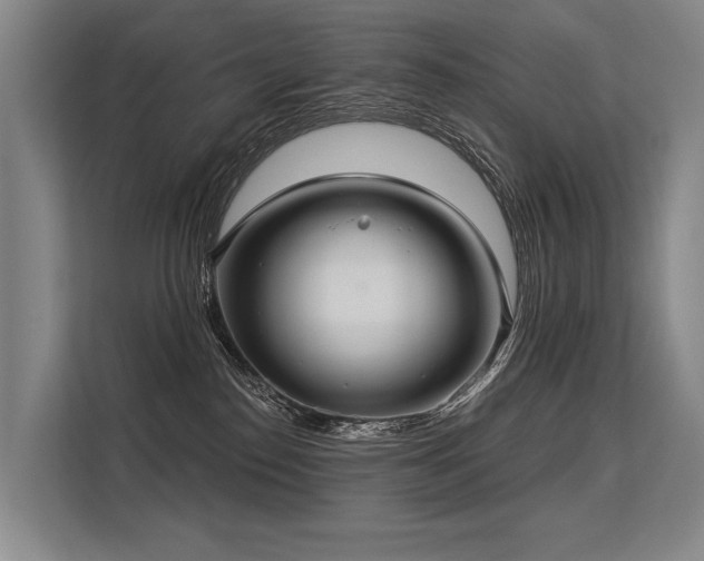 X0000113550186200909181207