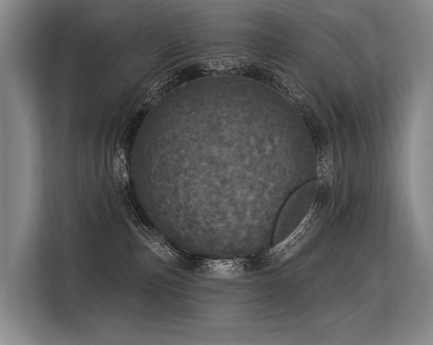 X0000113550187200909181207