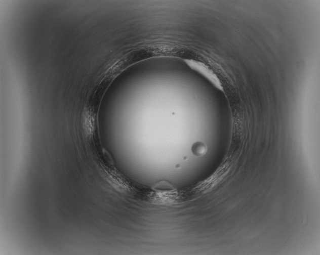 X0000113550188200909181207