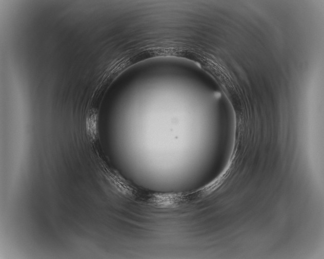 X0000113550190200909181207