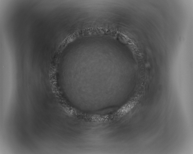 X0000113550192200909181207