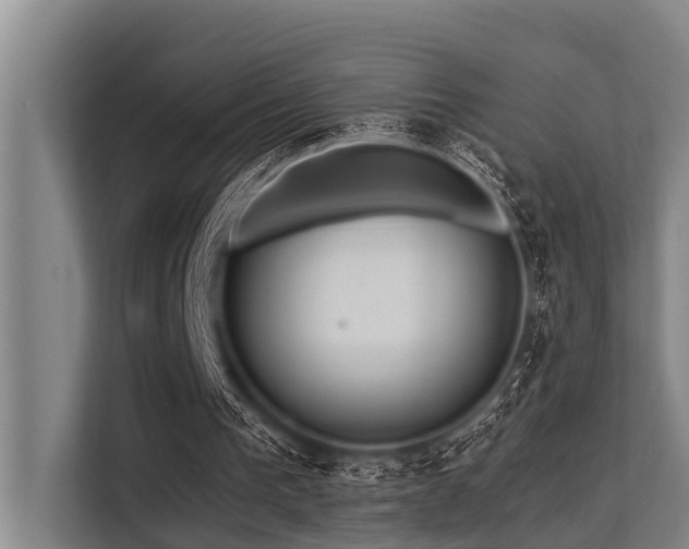 X0000113550193200909181206