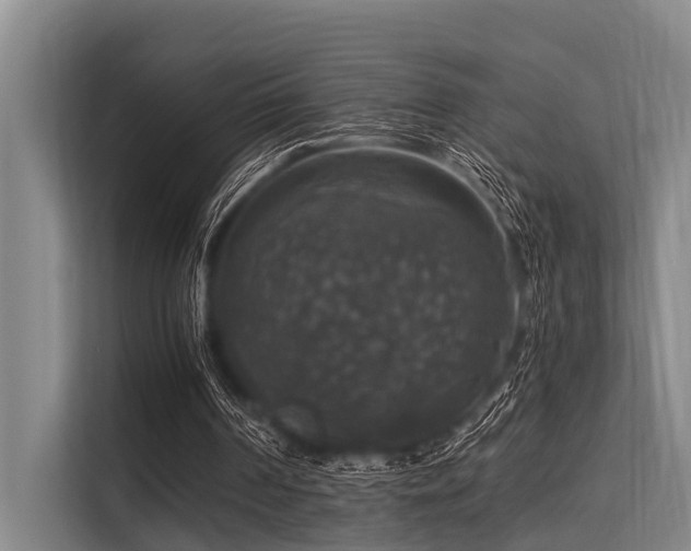 X0000113550194200909181206