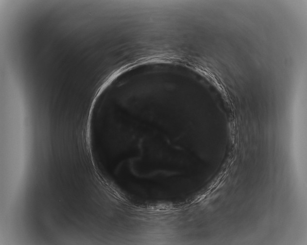 X0000113550196200909181206