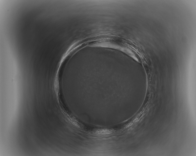 X0000113550198200909181206