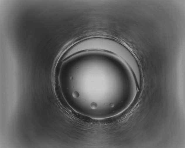 X0000113550199200909181206