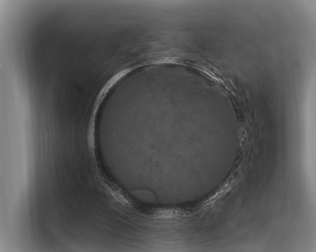 X0000113550200200909181206