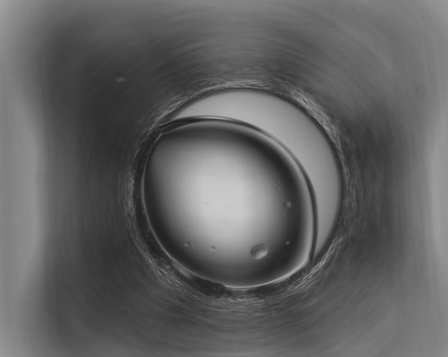 X0000113550201200909181206