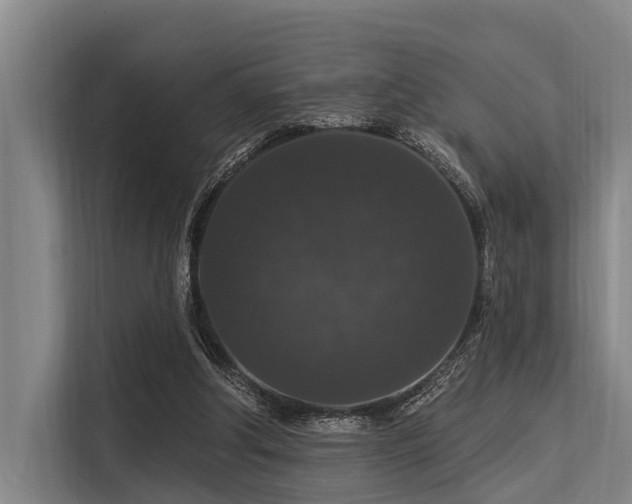 X0000113550202200909181206