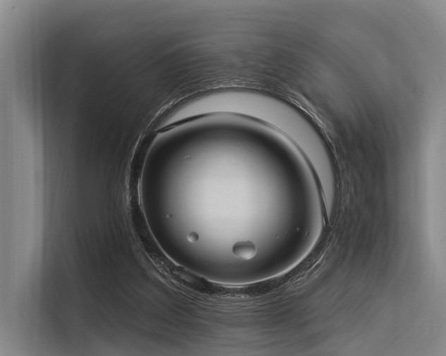 X0000113550203200909181206