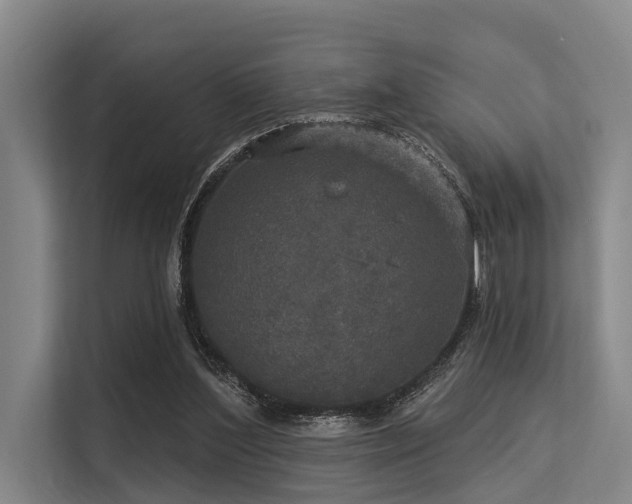 X0000113550204200909181206