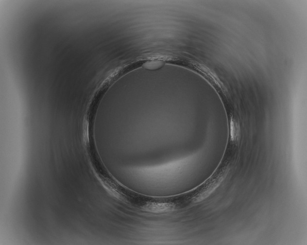 X0000113550205200909181206