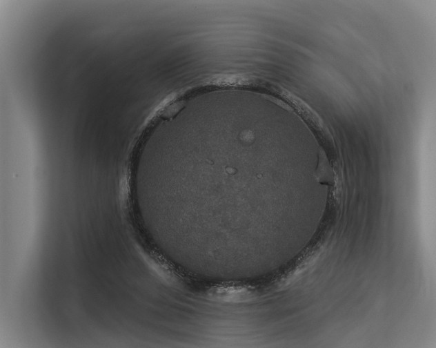 X0000113550208200909181206