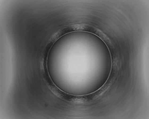 X0000113550209200909181206