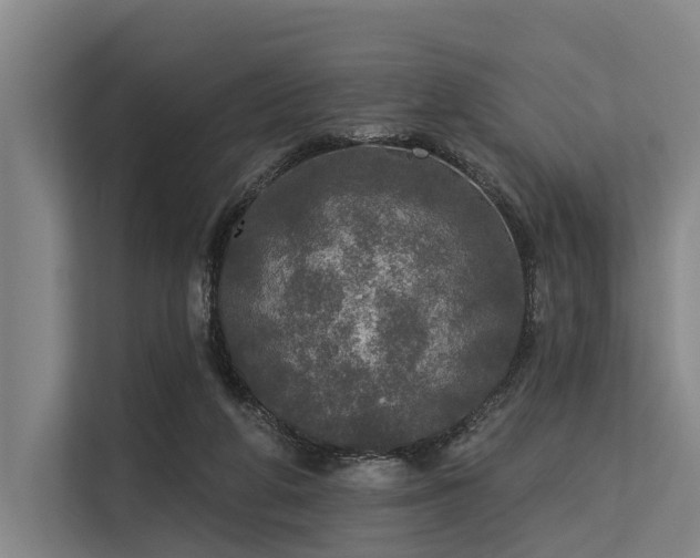 X0000113550210200909181206