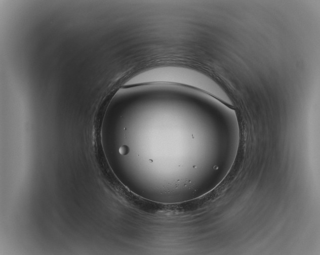 X0000113550211200909181206