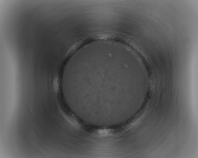 X0000113550216200909181206