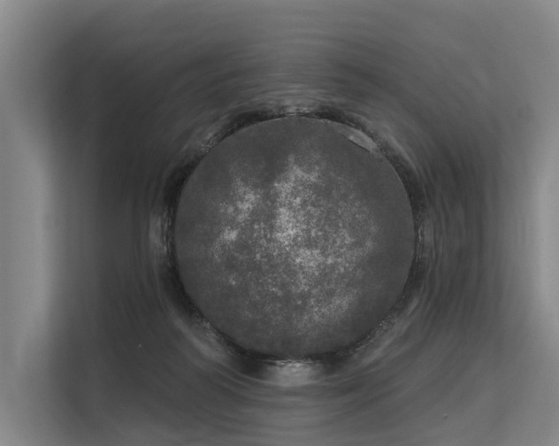 X0000113550218200909181206