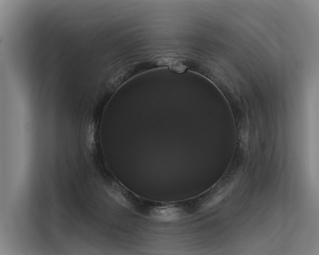 X0000113550219200909181206