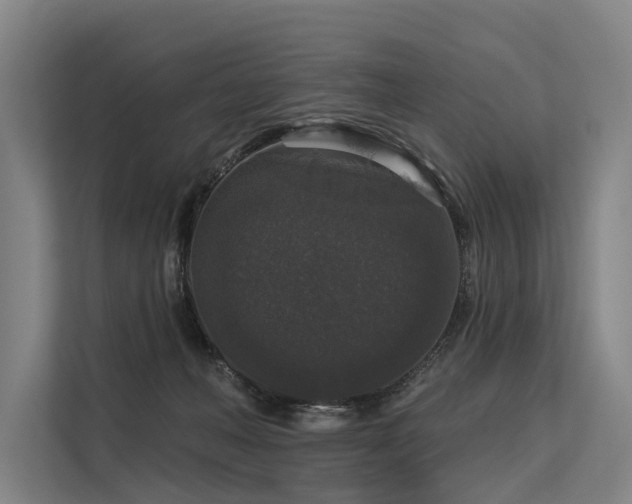 X0000113550222200909181206