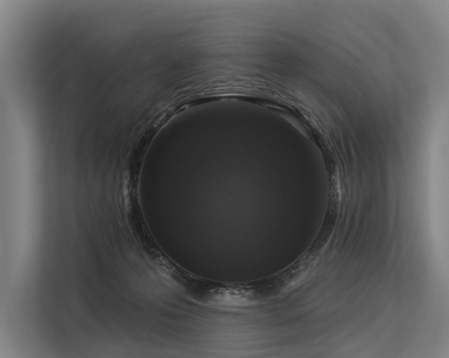 X0000113550223200909181206