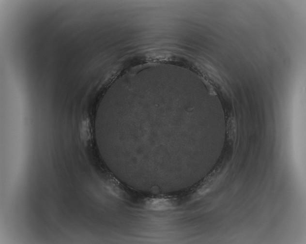 X0000113550224200909181206