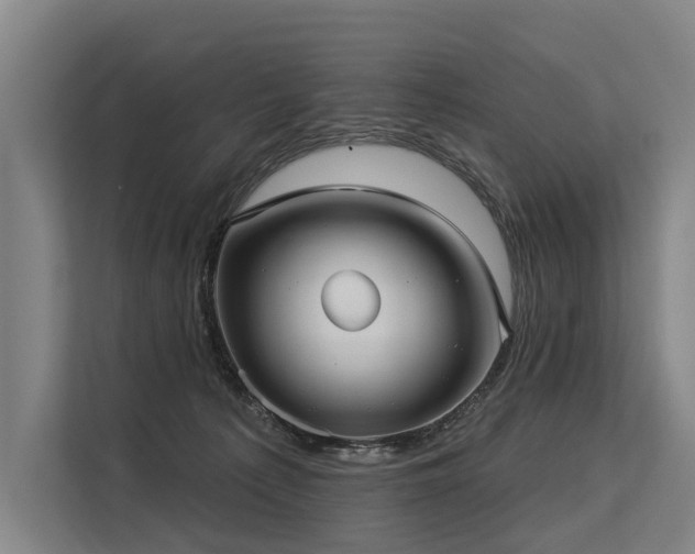 X0000113550225200909181206