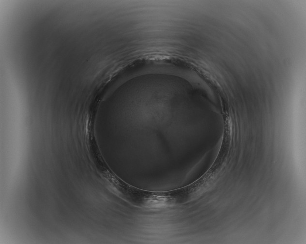 X0000113550227200909181206