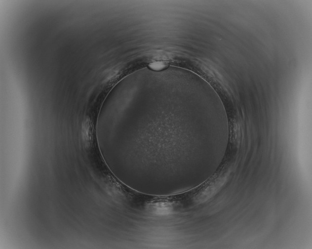 X0000113550228200909181206