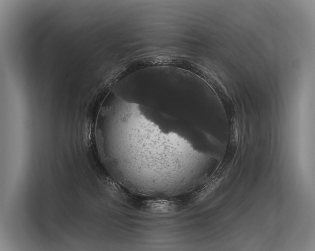 X0000113550230200909181206