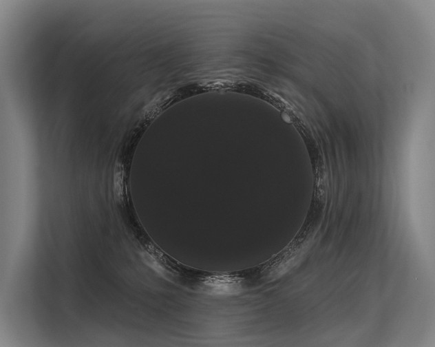 X0000113550231200909181206