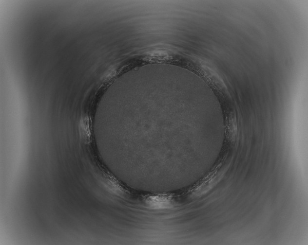 X0000113550232200909181206