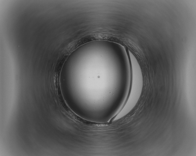 X0000113550233200909181205