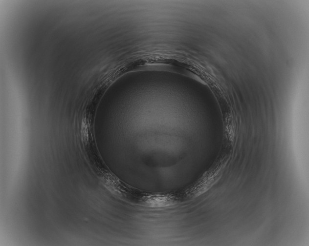 X0000113550235200909181205