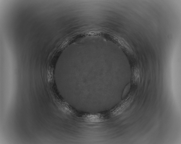 X0000113550236200909181205