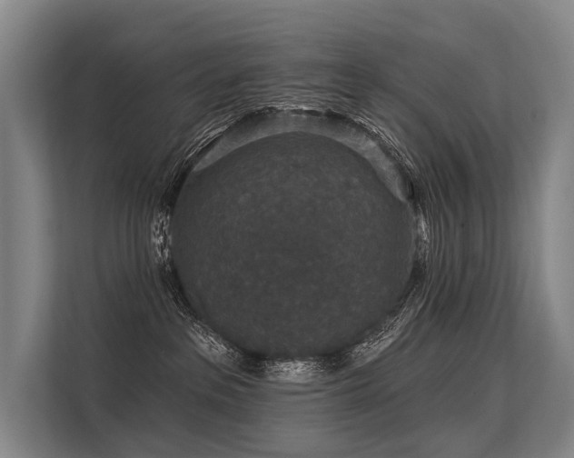 X0000113550237200909181205