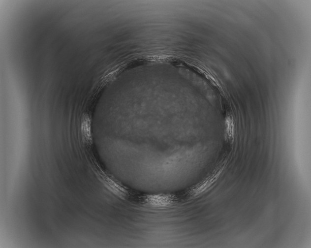 X0000113550238200909181205