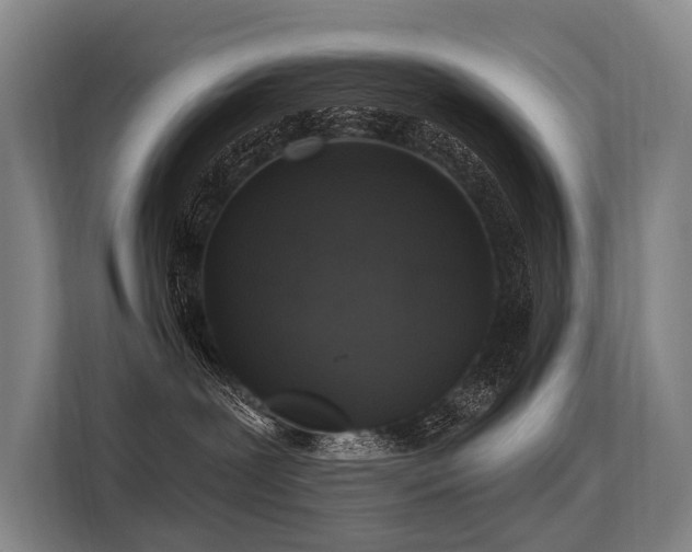 X0000113550239200909181205