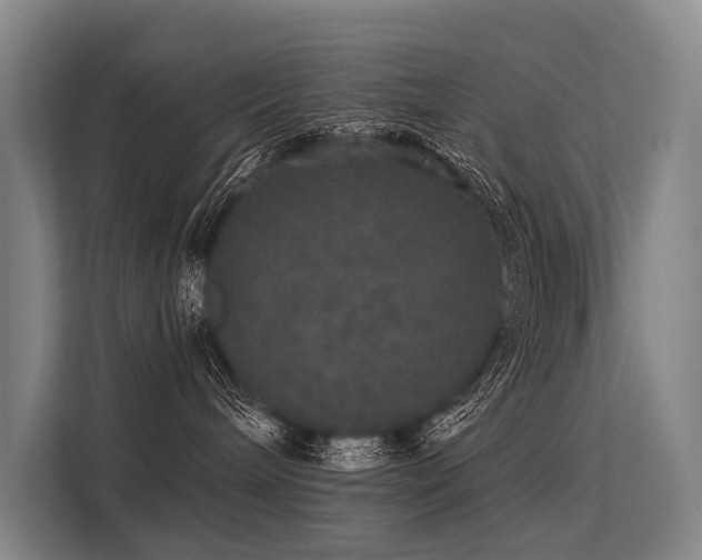 X0000113550240200909181205