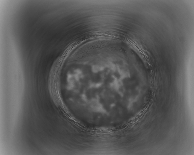 X0000113550241200909181205