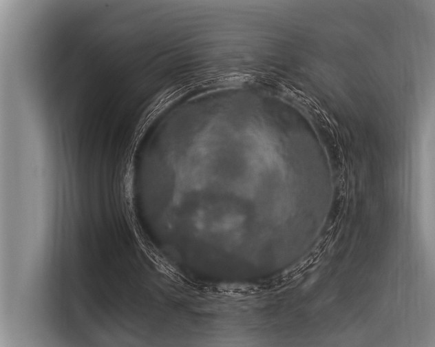 X0000113550242200909181205