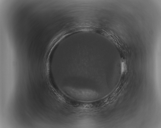 X0000113550243200909181205