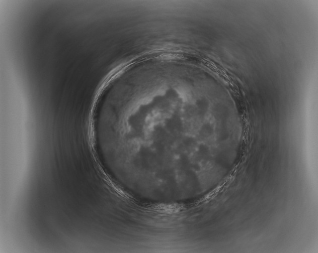 X0000113550245200909181205