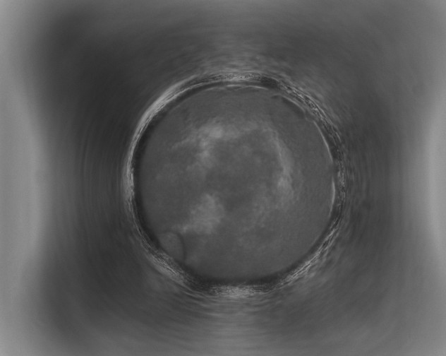 X0000113550246200909181205