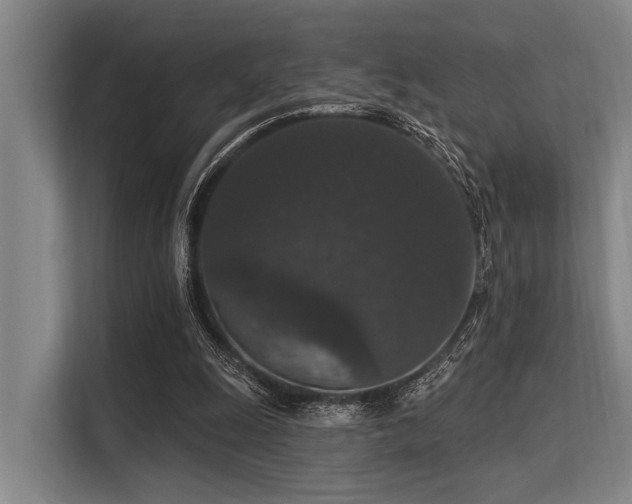 X0000113550247200909181205