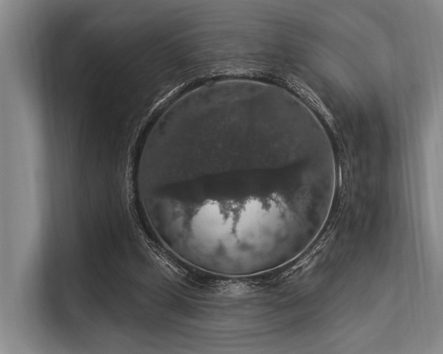 X0000113550249200909181205